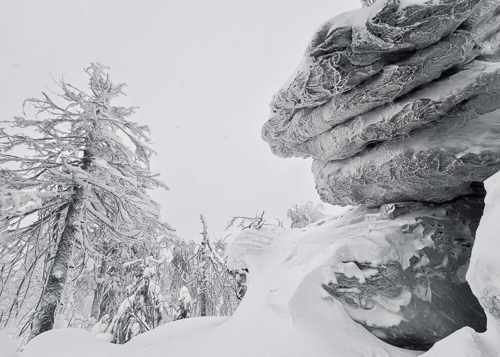 Photograph by Olga Belousova