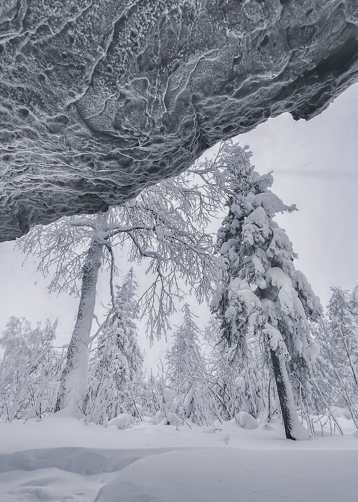 Photograph by Olga Belousova