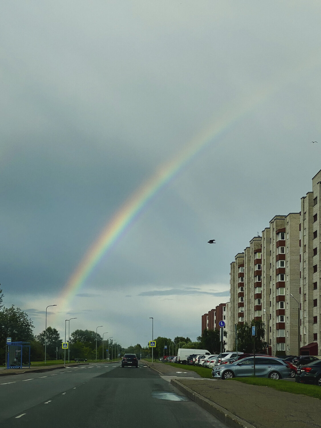 The colors of the rainbow