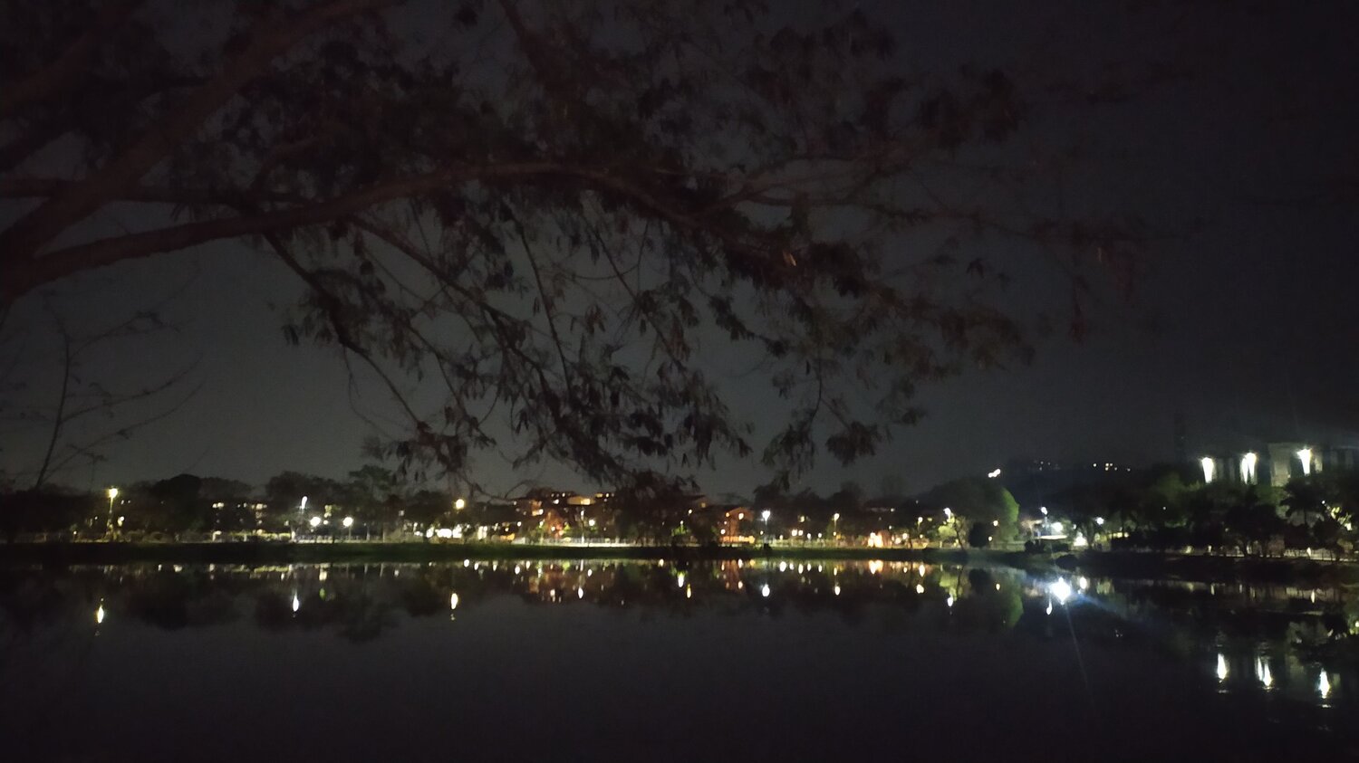 Midnight Reflections