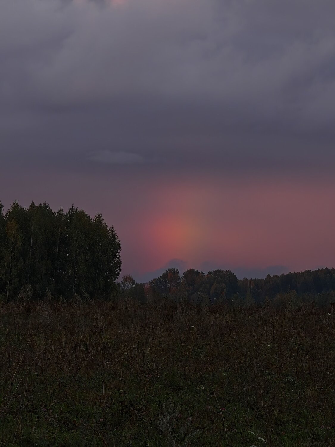 Photo #14070322