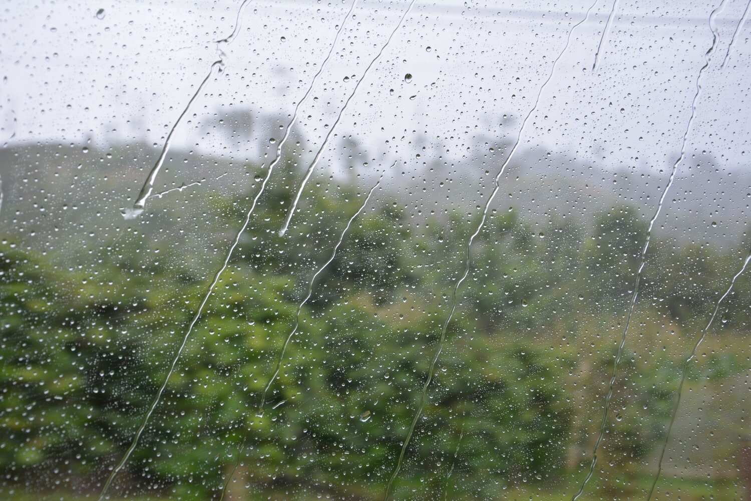 Photo #14070512