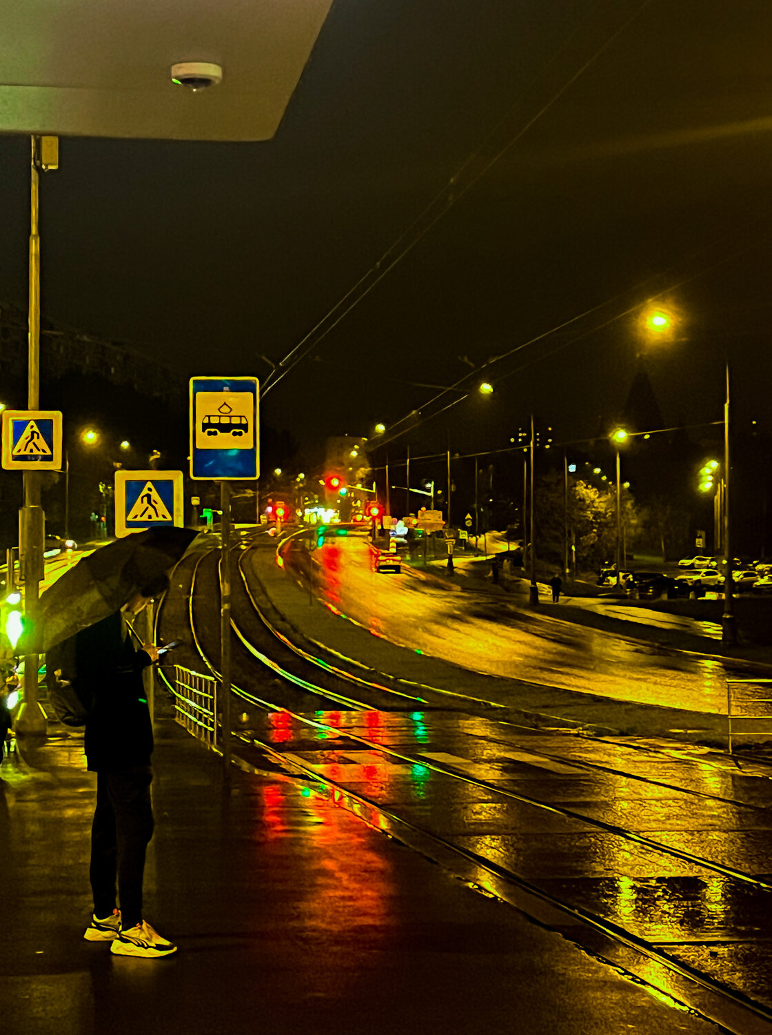 Photo #14070520
