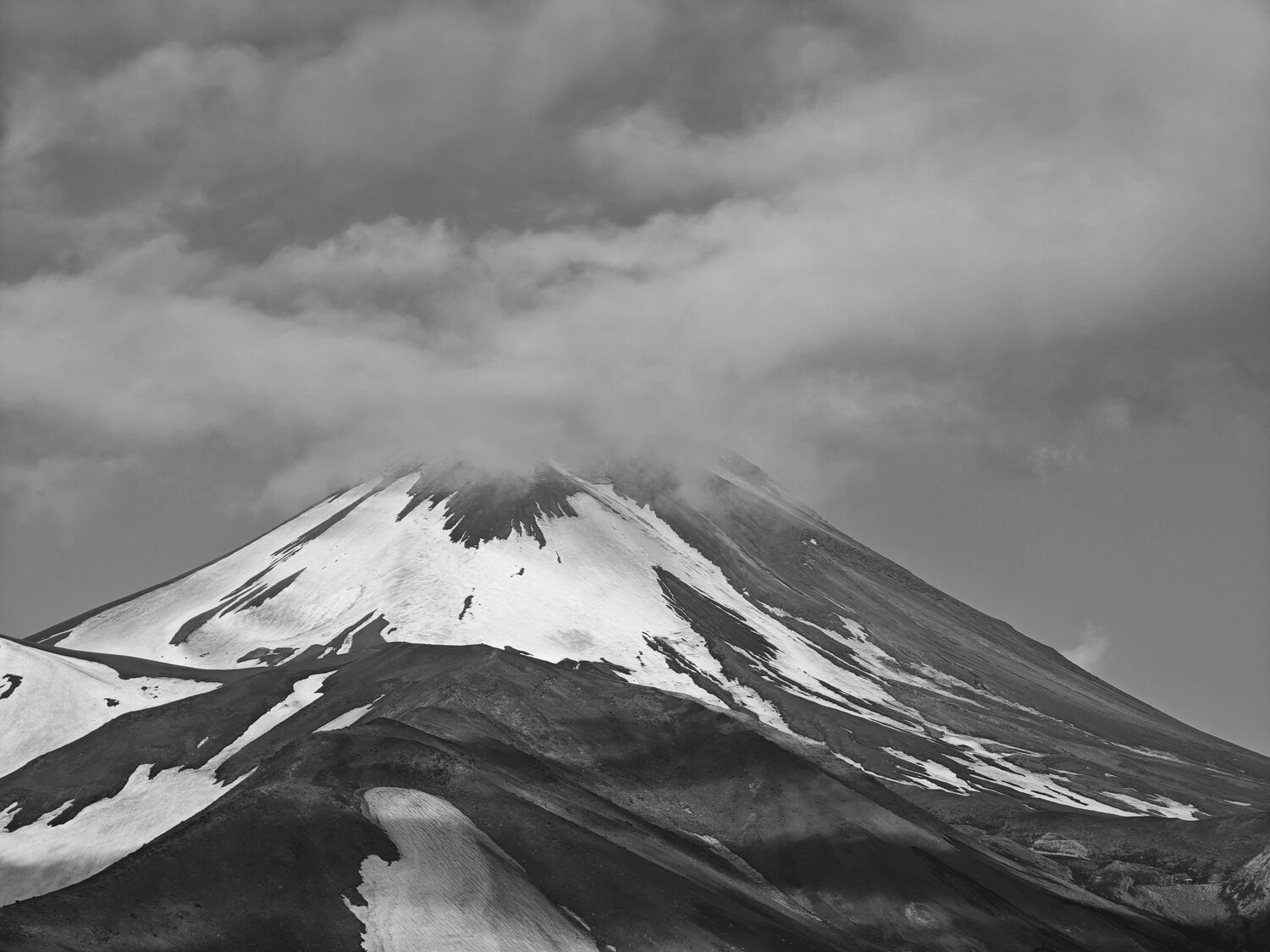 Photo #14070556
