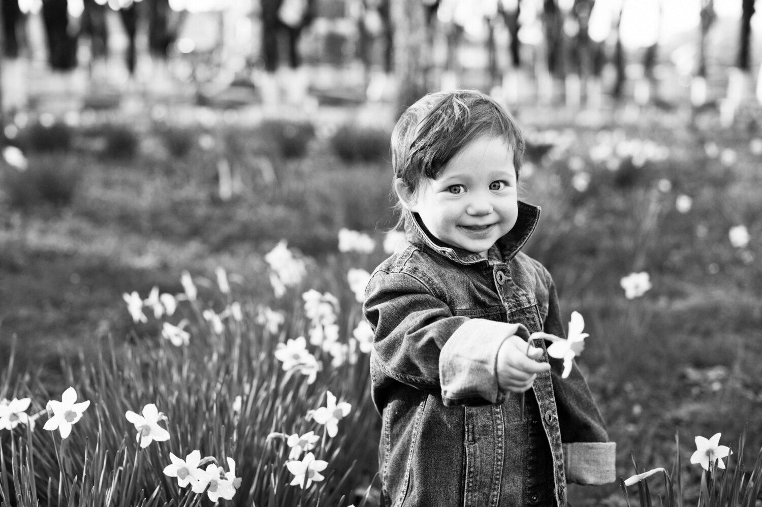 Photo #14070622