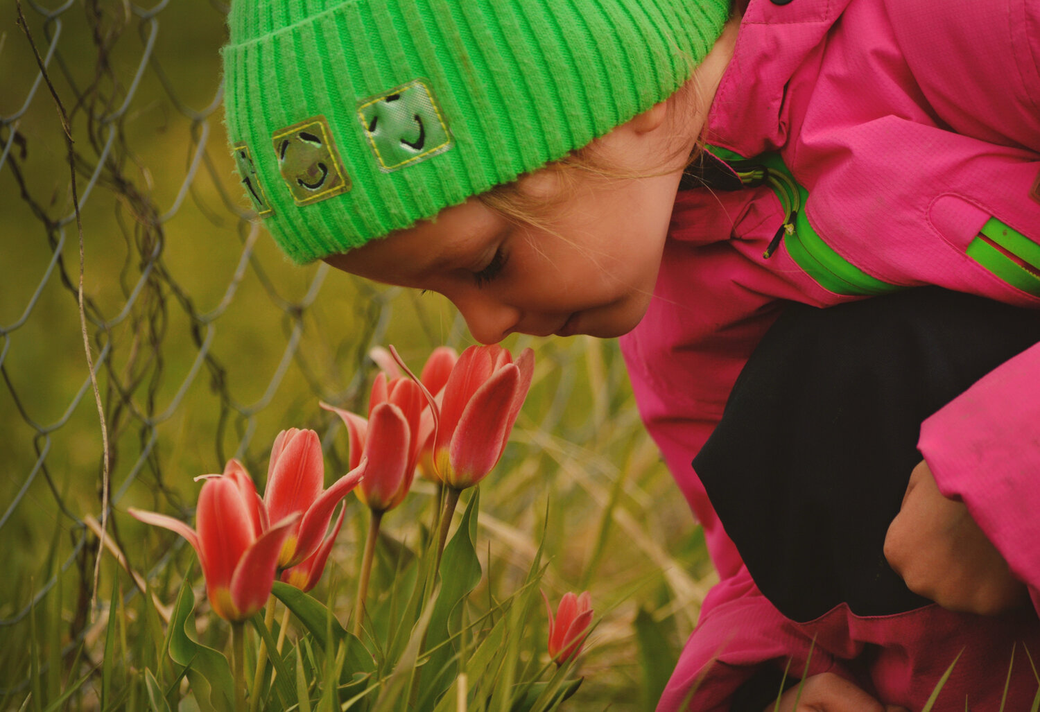 Photo #14070691