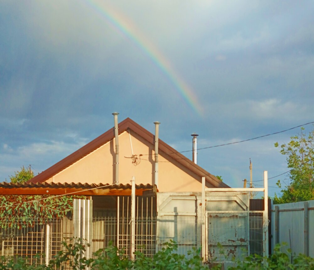 Photograph by Майя Стащенко