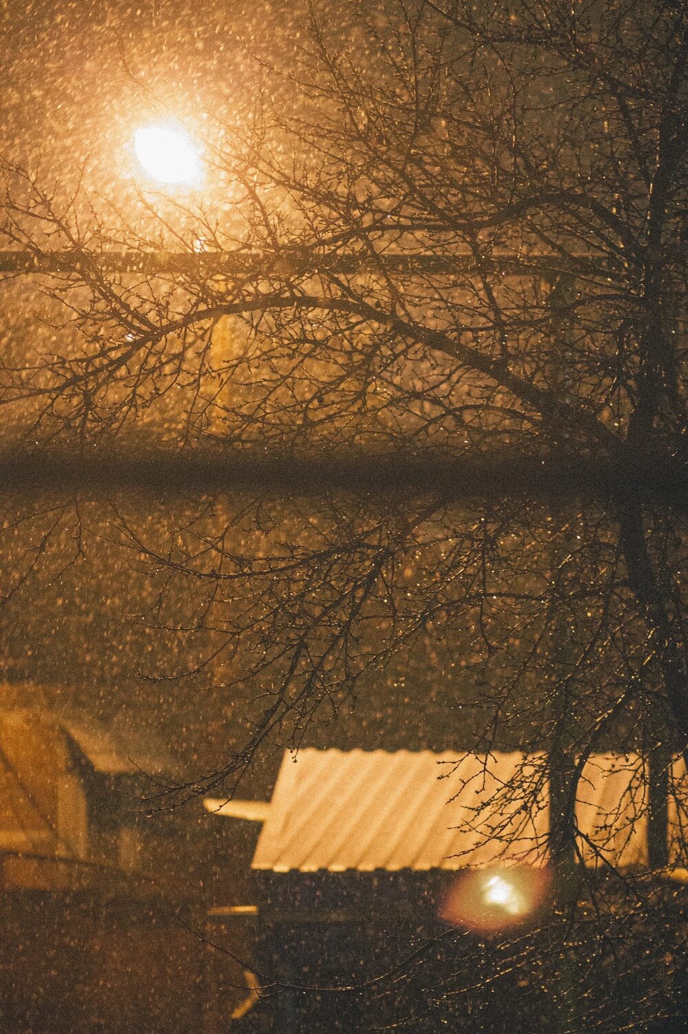 Photo #14070757