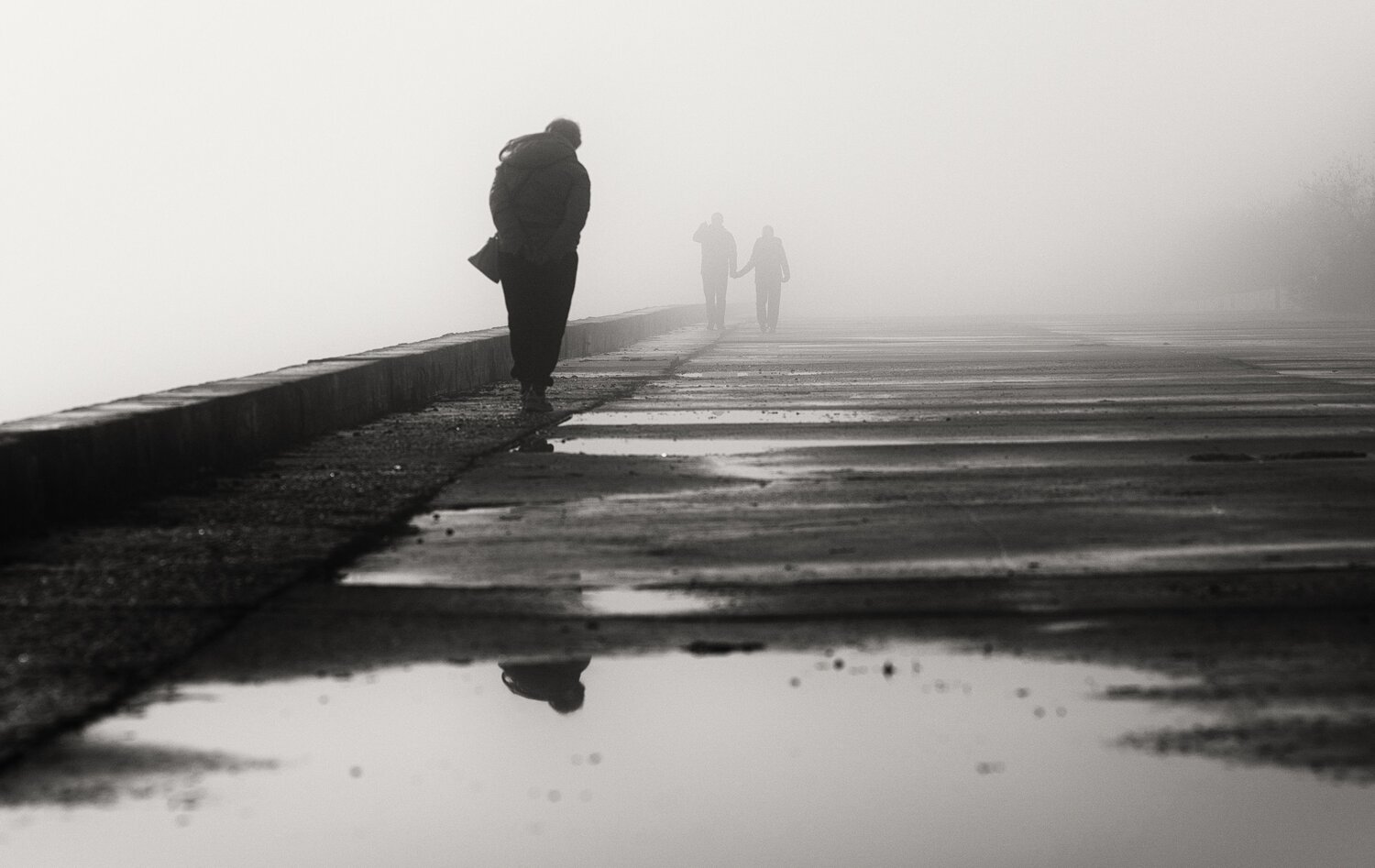 Photo #14070898
