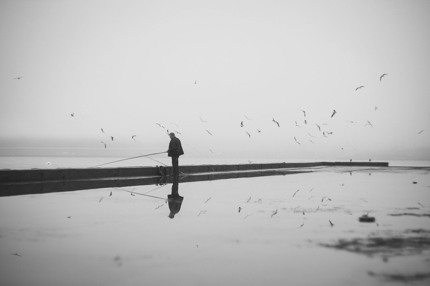 Photo #14070903