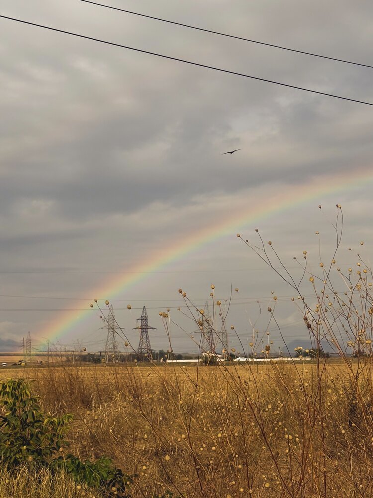 Photograph by Регина Усова