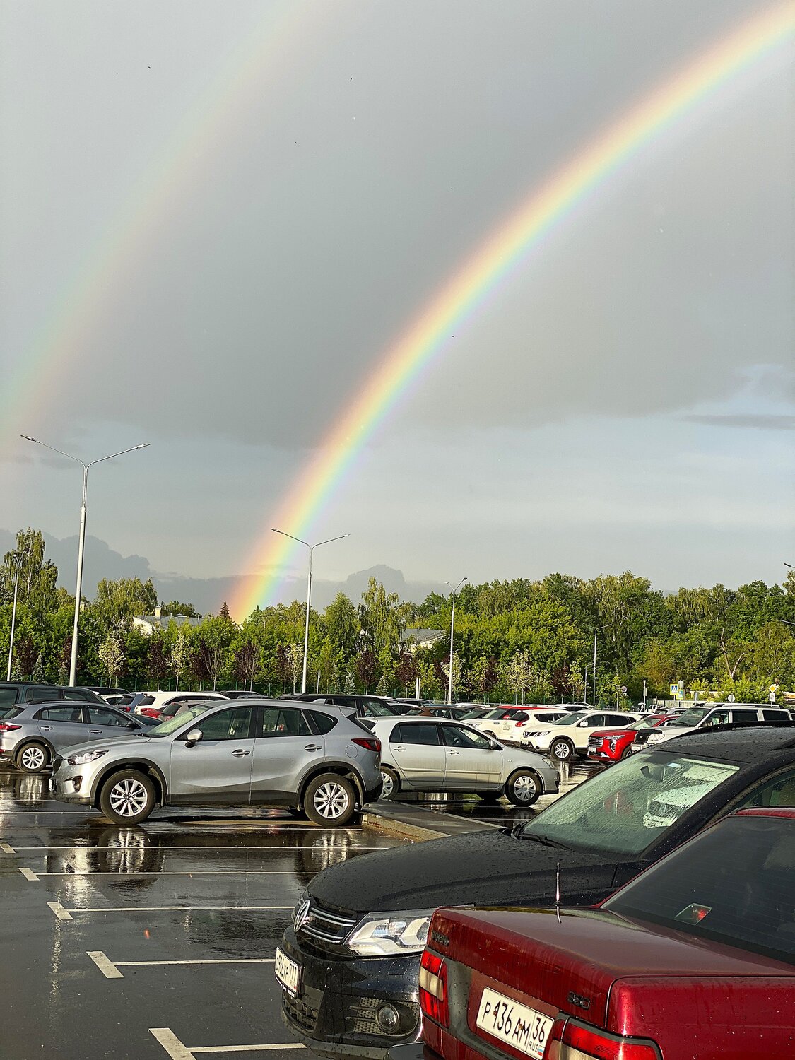 Photo #14070982