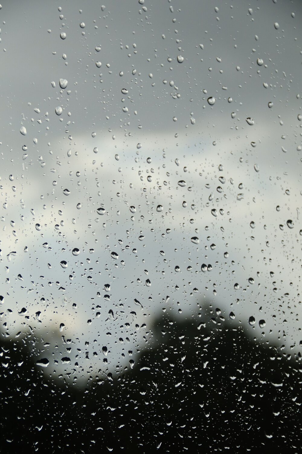 Photo #14070991