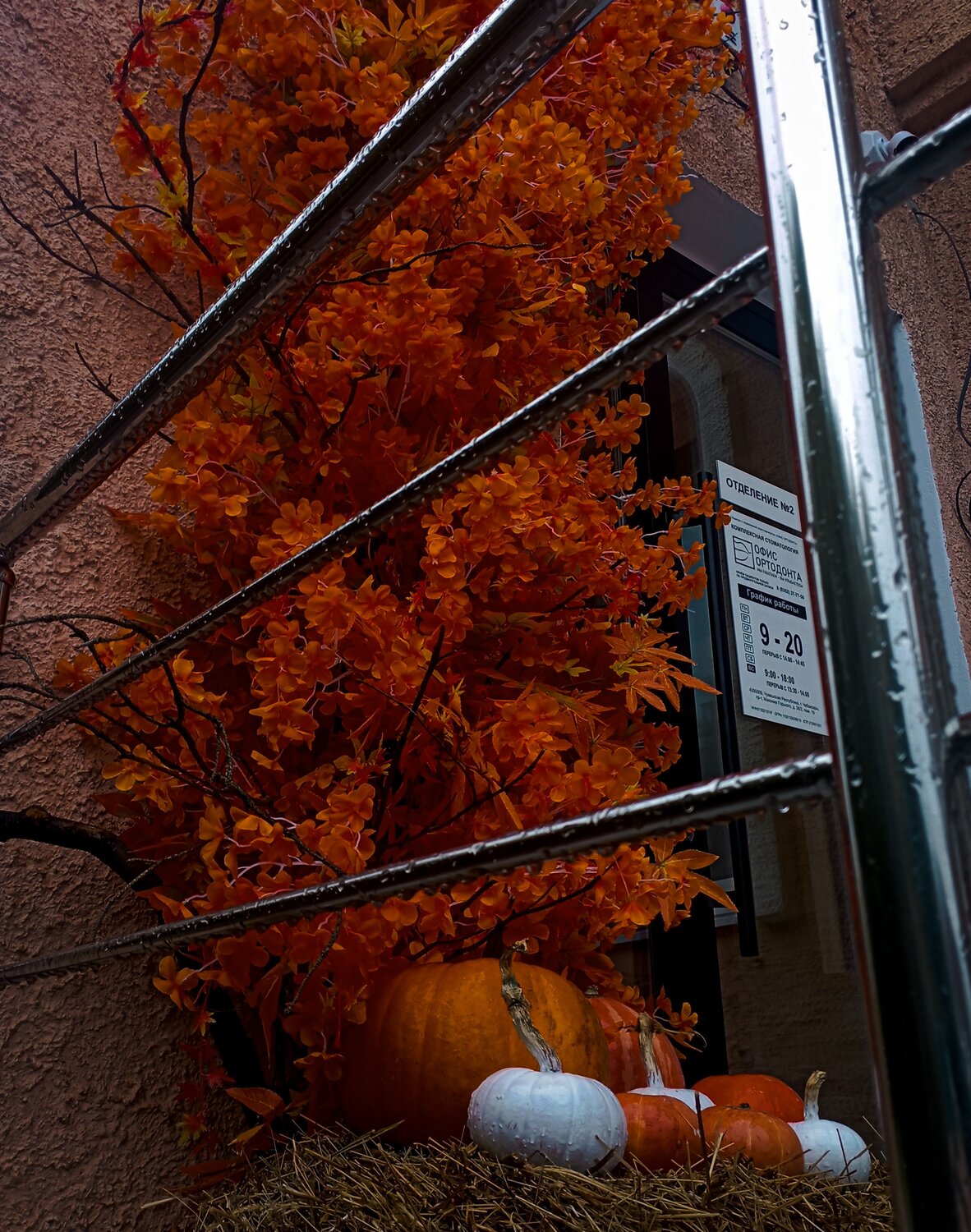 Photo #14071202