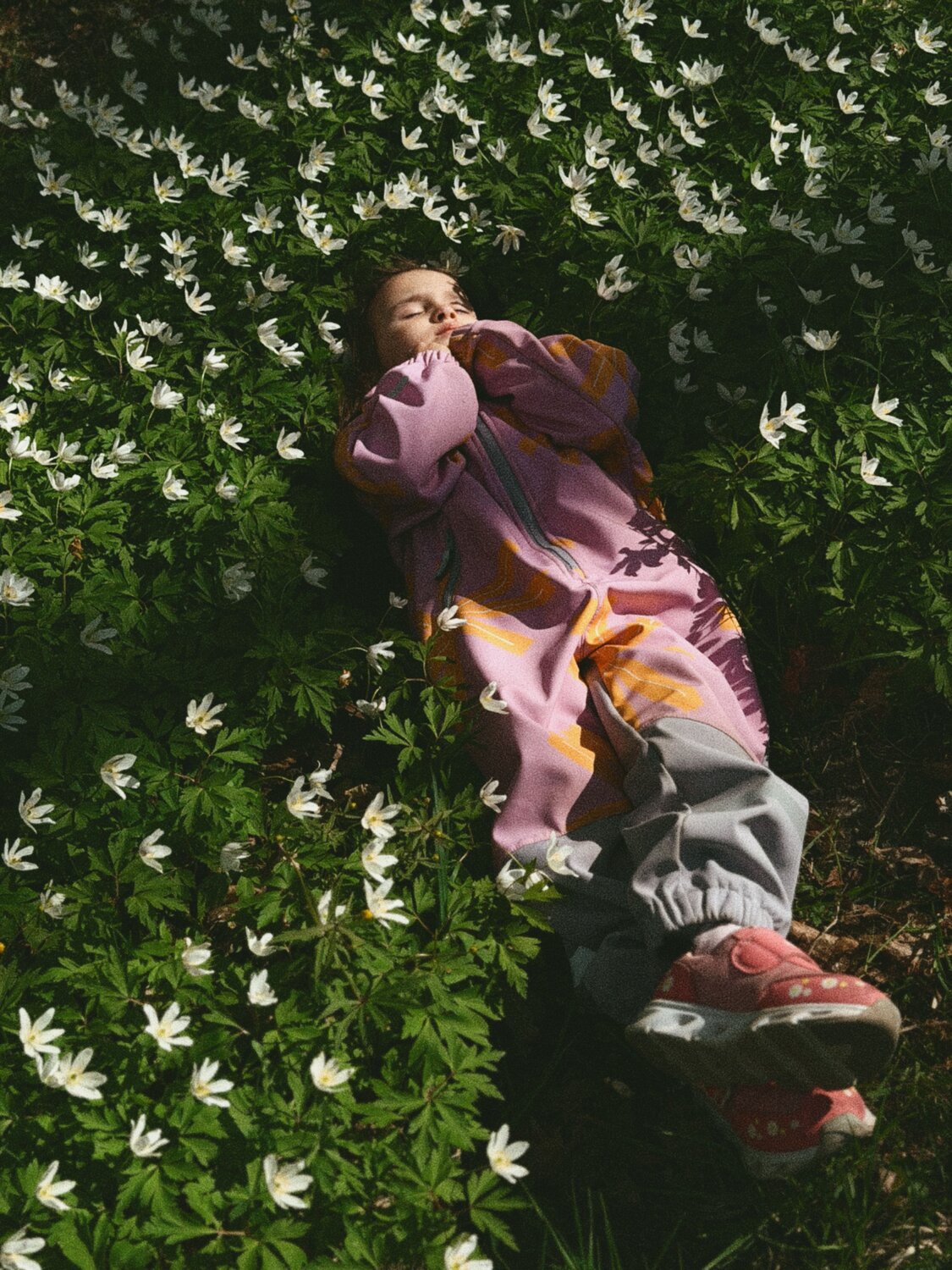 Photo #14071349