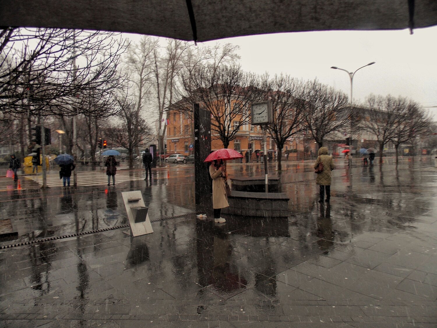 Photo #14071420