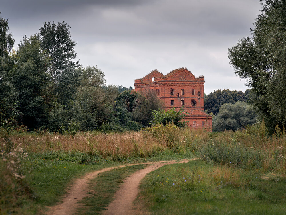 Photograph by Людмила Завьялова