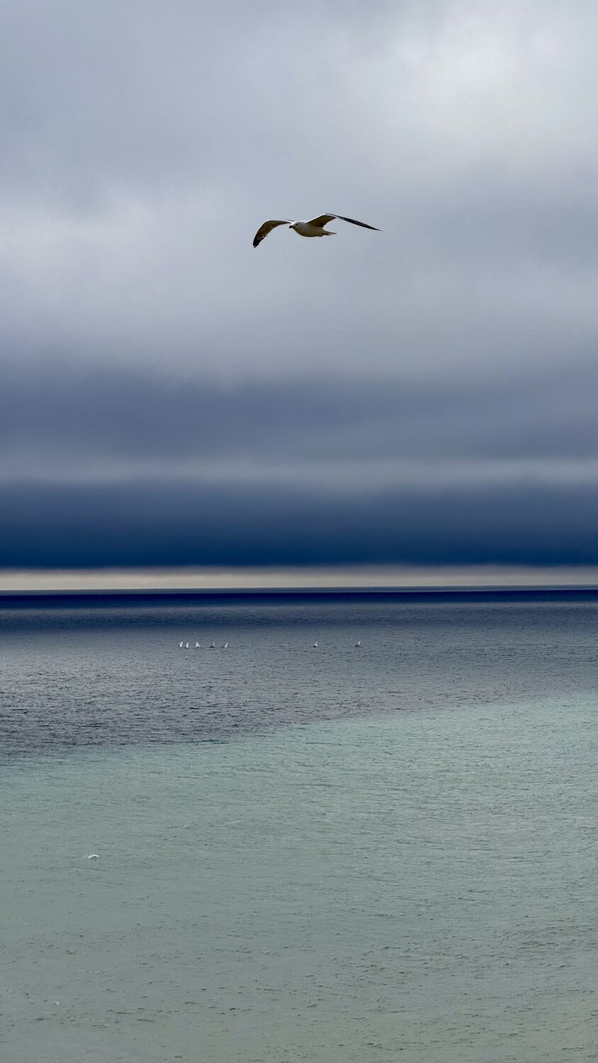 Blue freedom