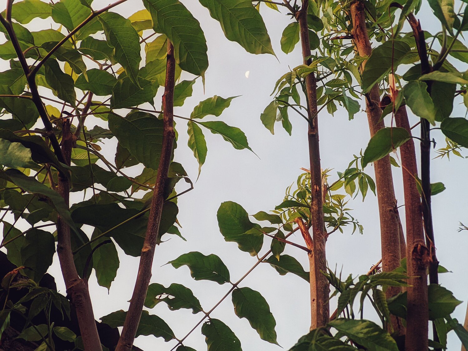 Photo #14071639