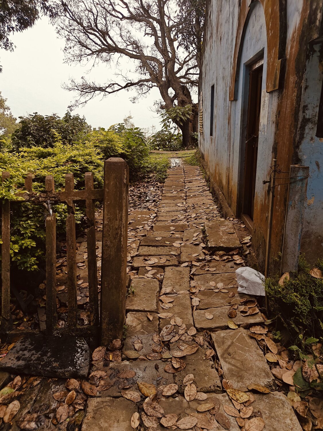Hill Grove
