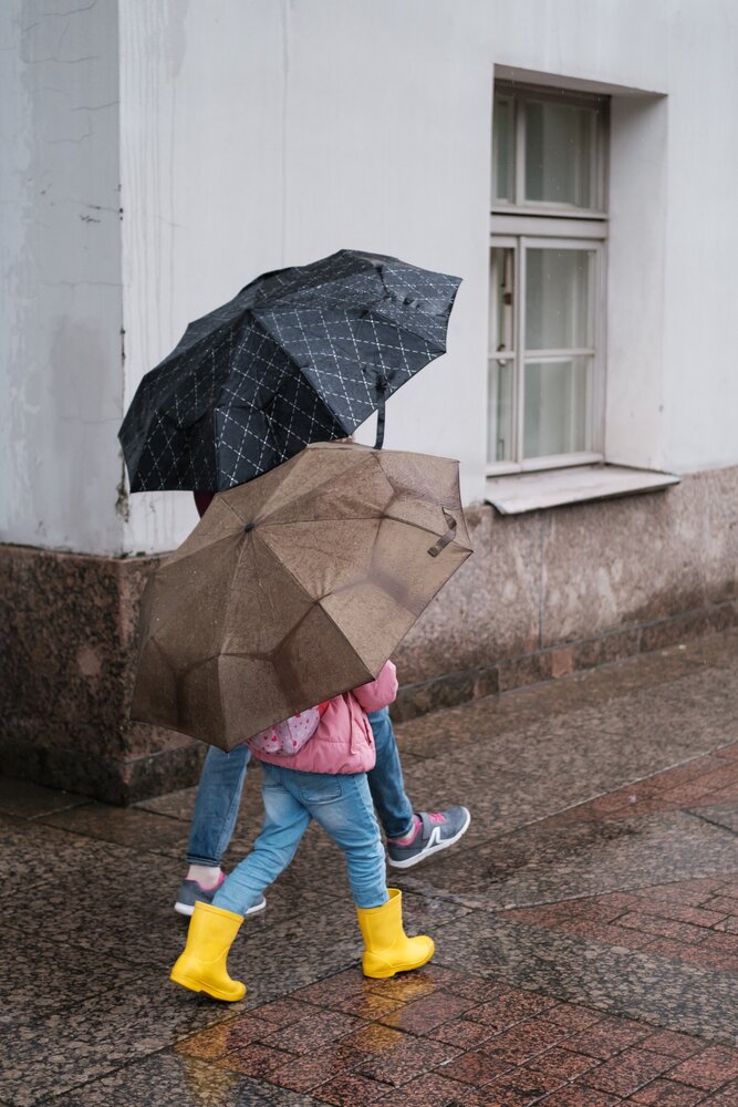 Photograph by Алексей Пирязев