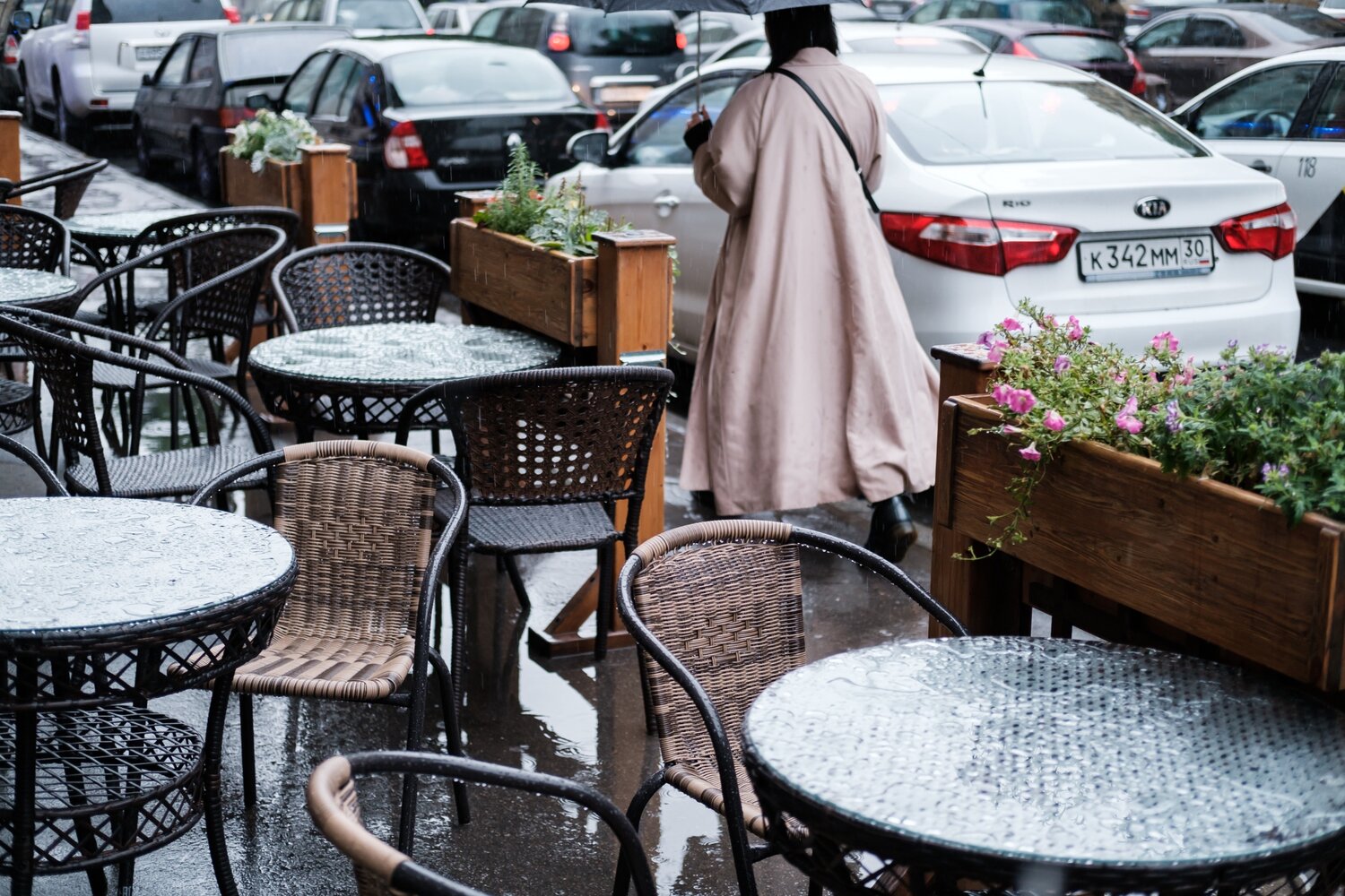 Photo #14071789
