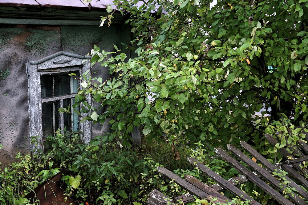 Photograph by Галина Кан