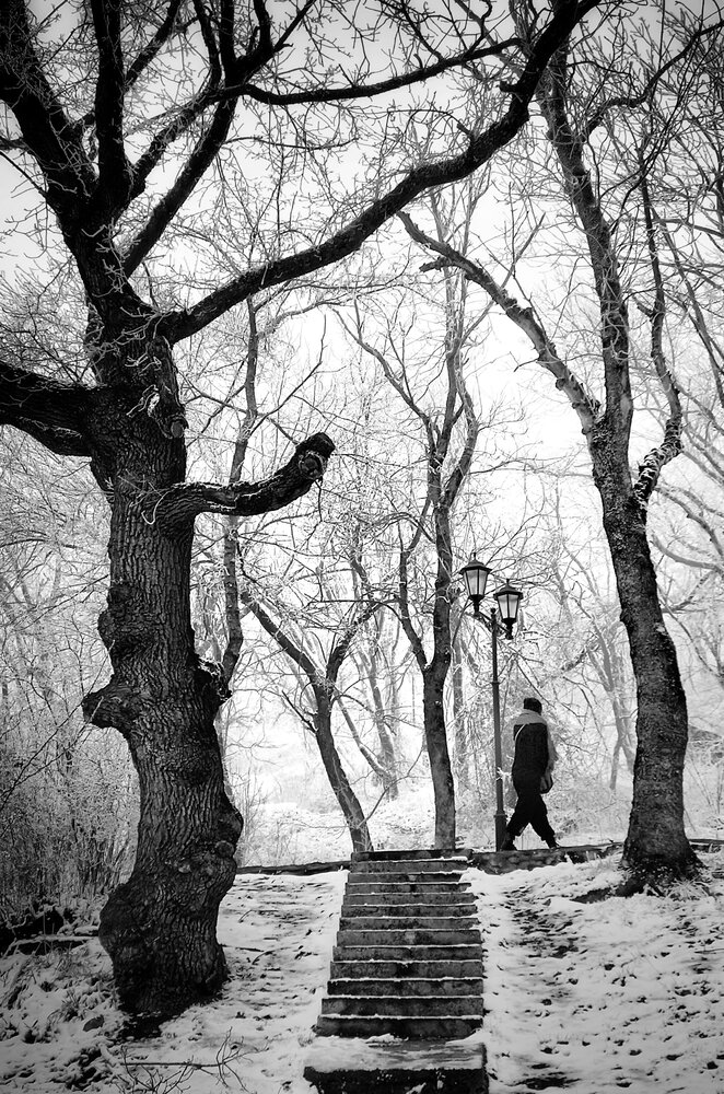 Photograph by Кривенко Владимир