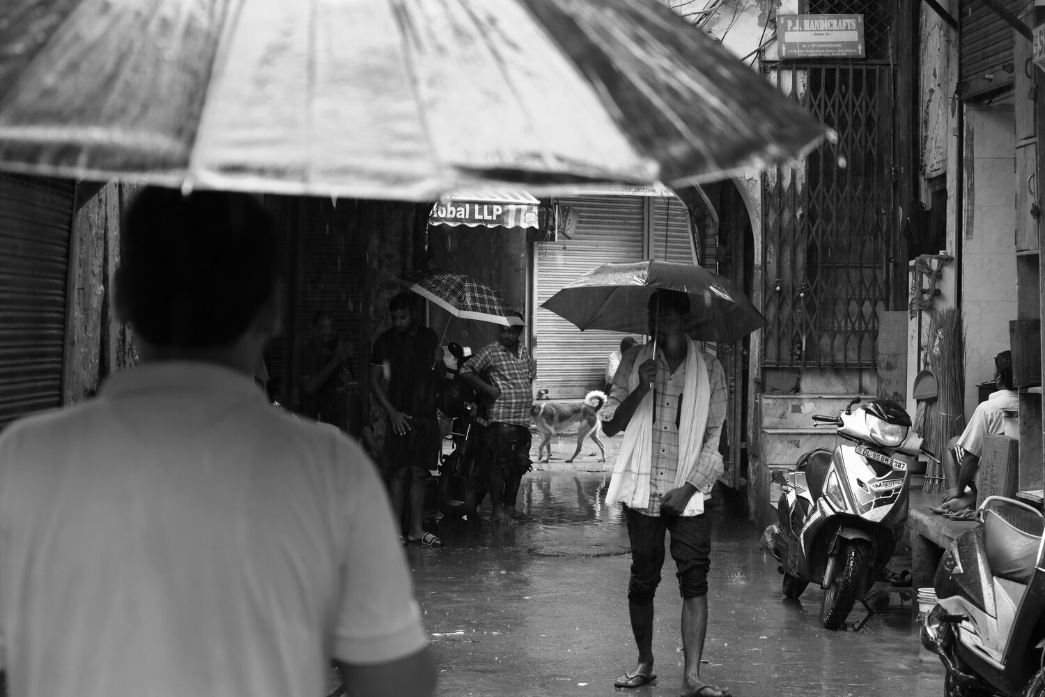Photo #14071953