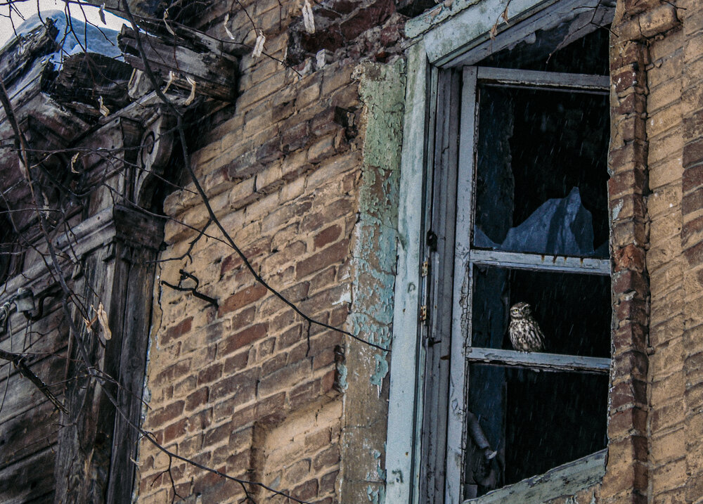 Photograph by Евгения Флиорчук