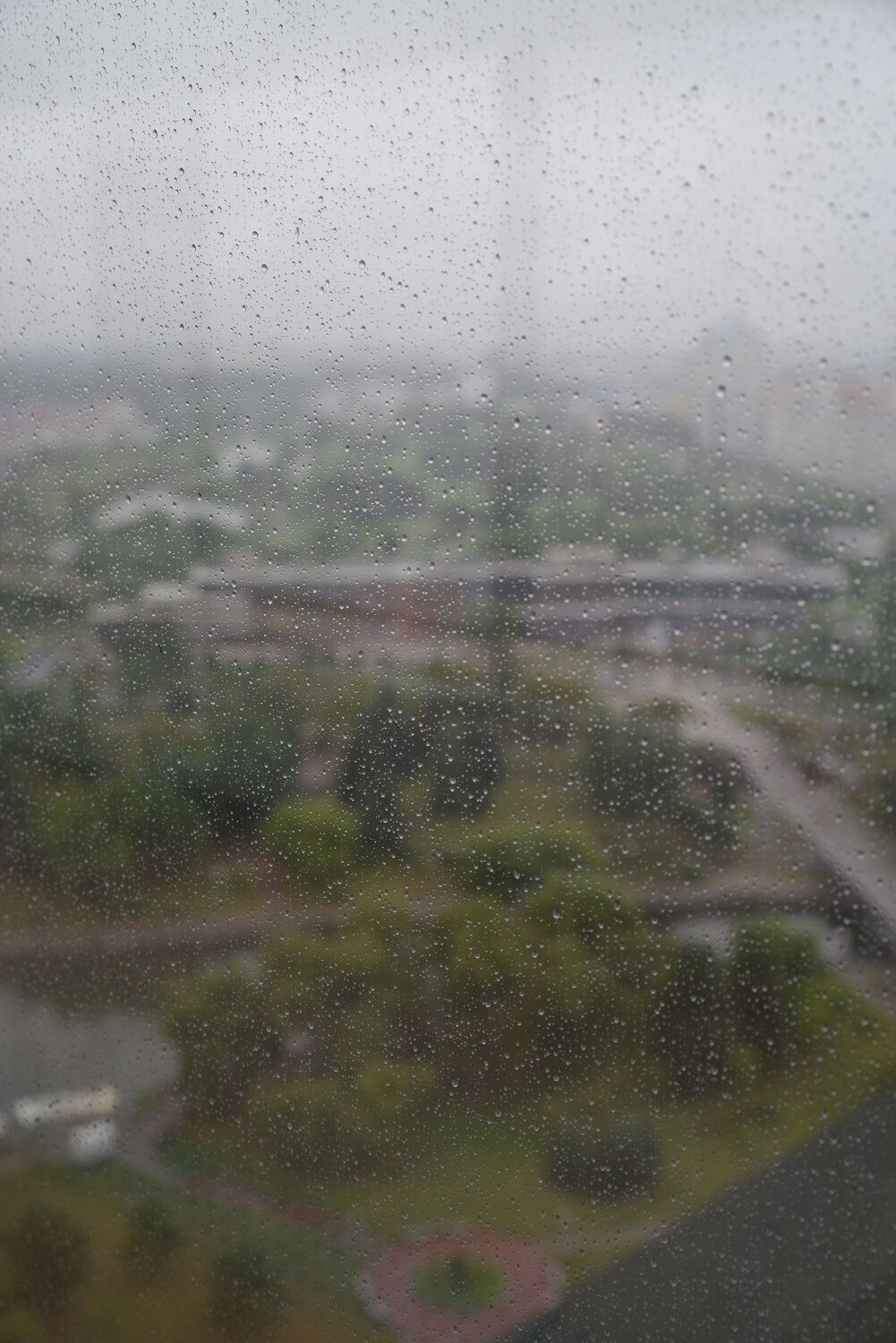 Photo #14072034