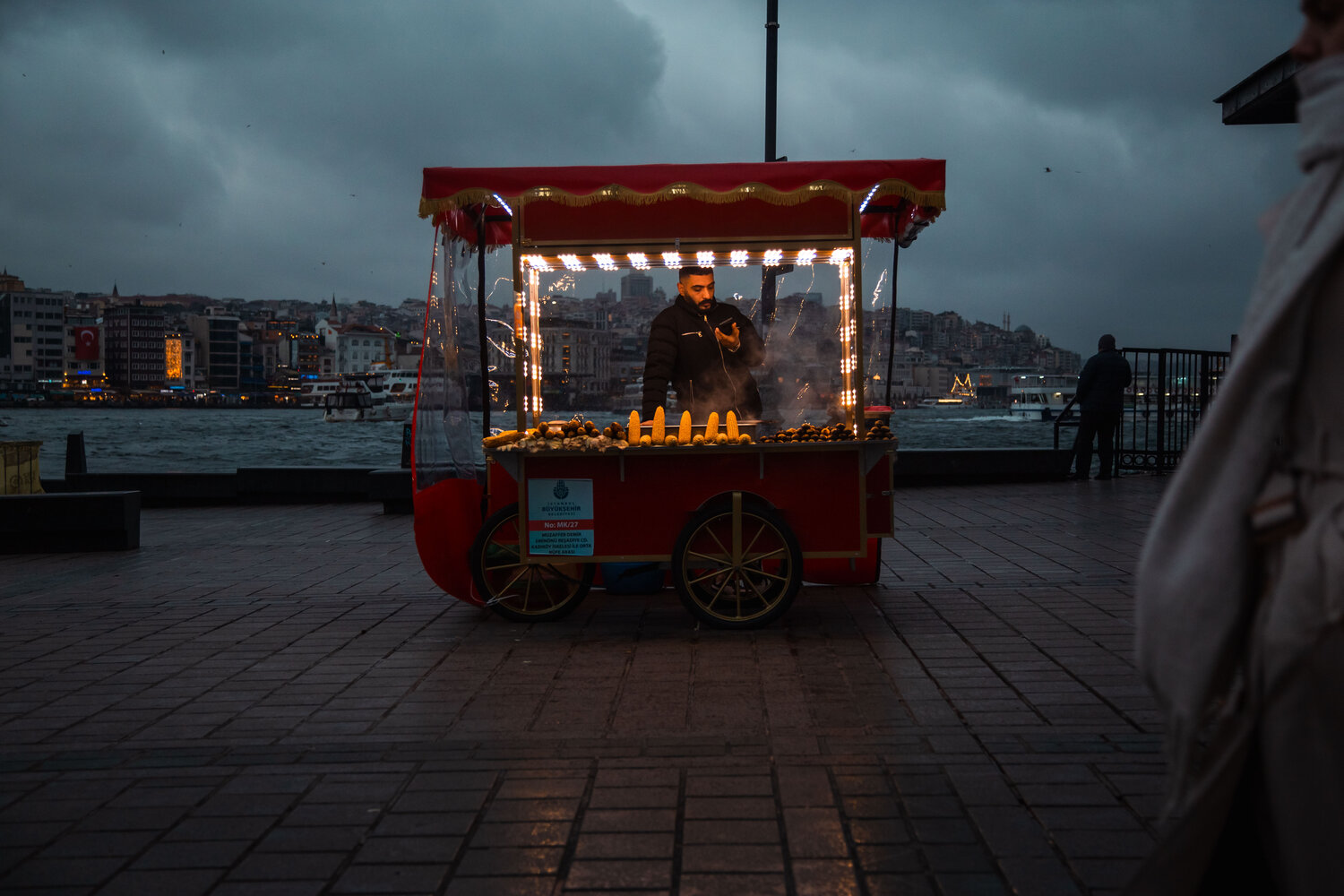 Photo #14072044