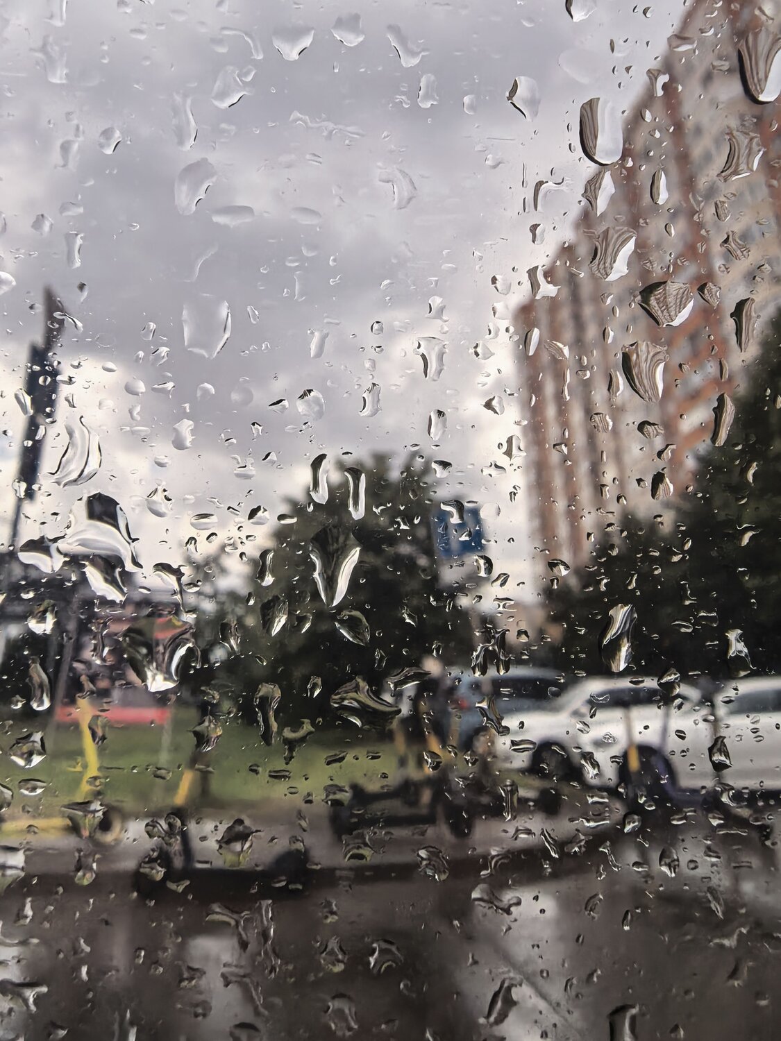Фотография #14072077