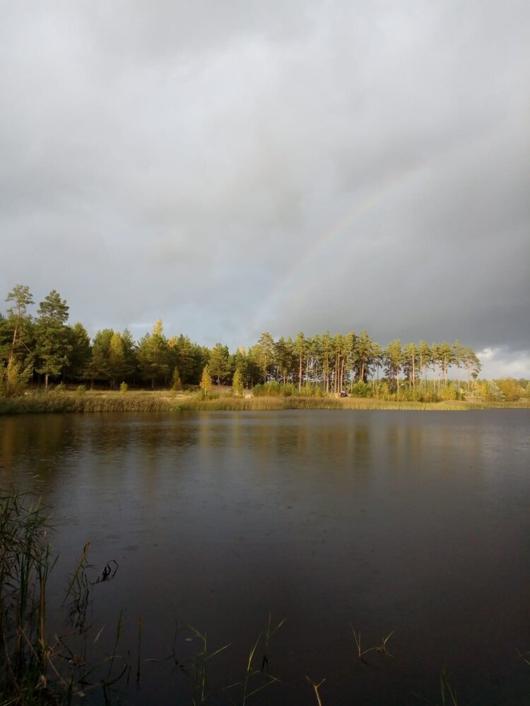 Photograph by Екатерина Бахтинова