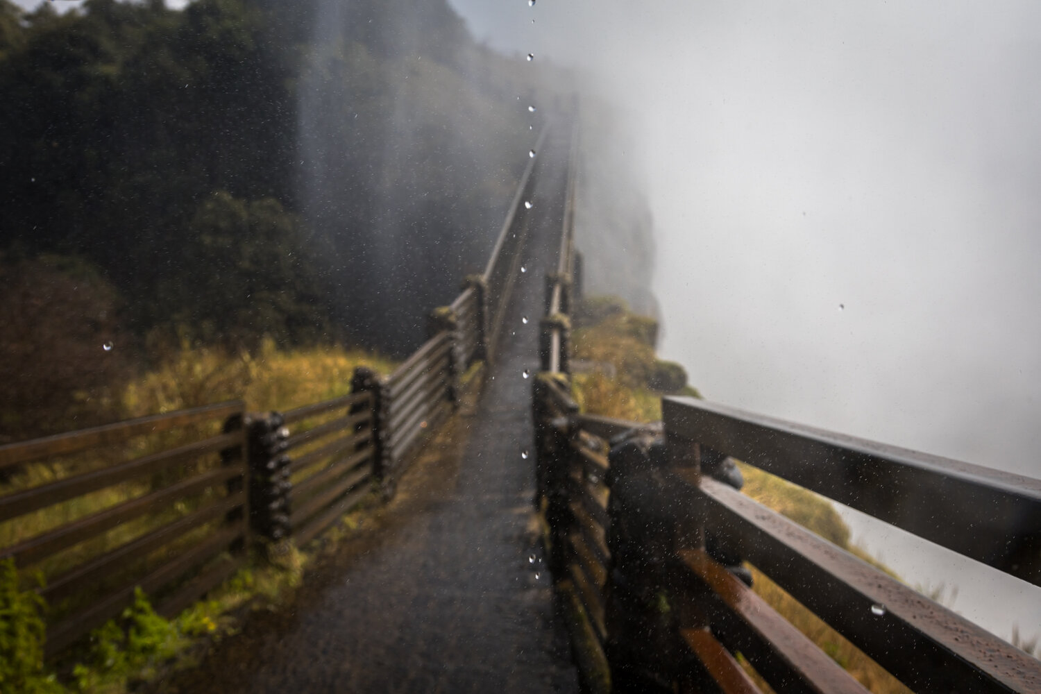 Photo #14072093