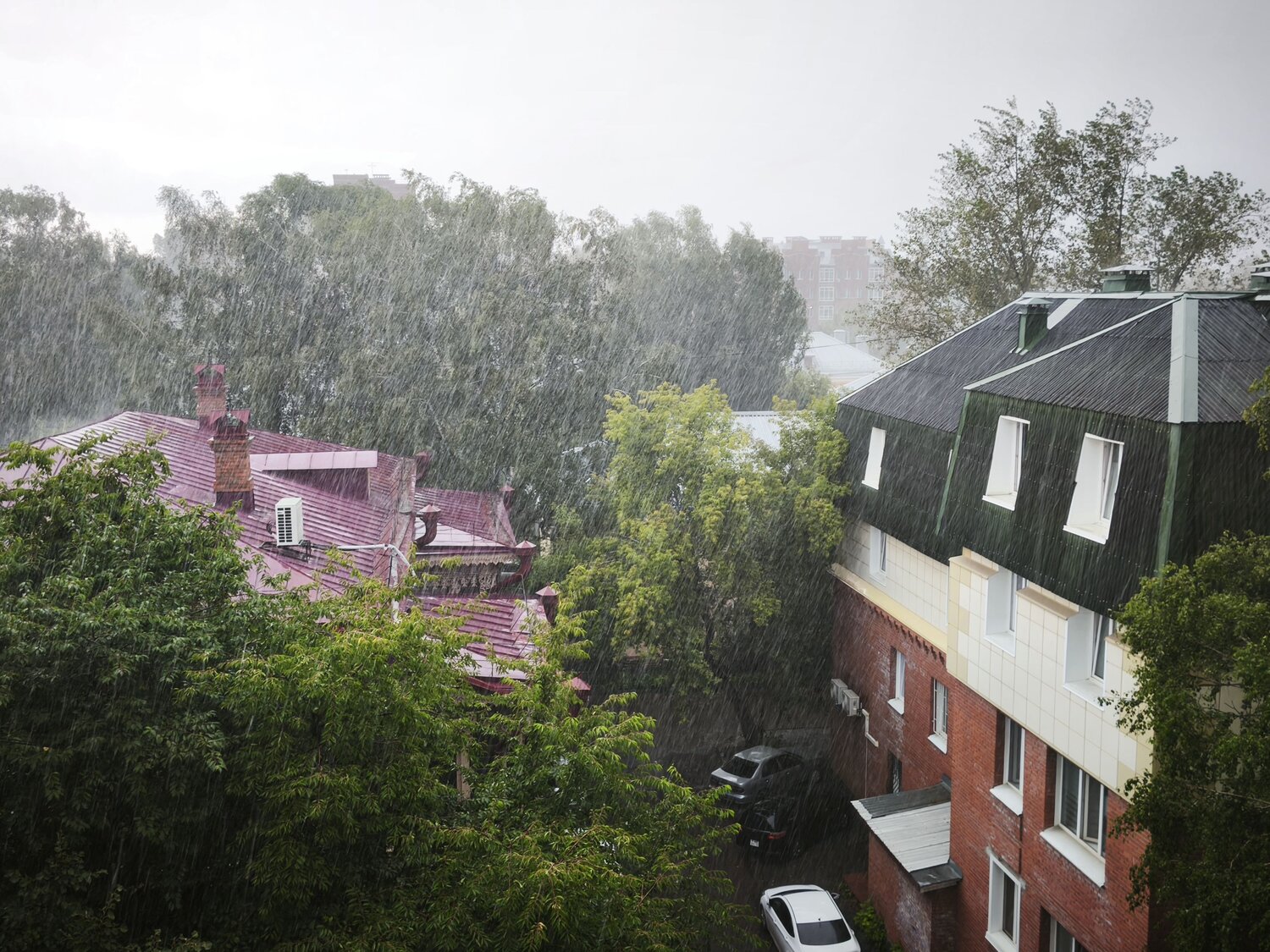 Photo #14072209