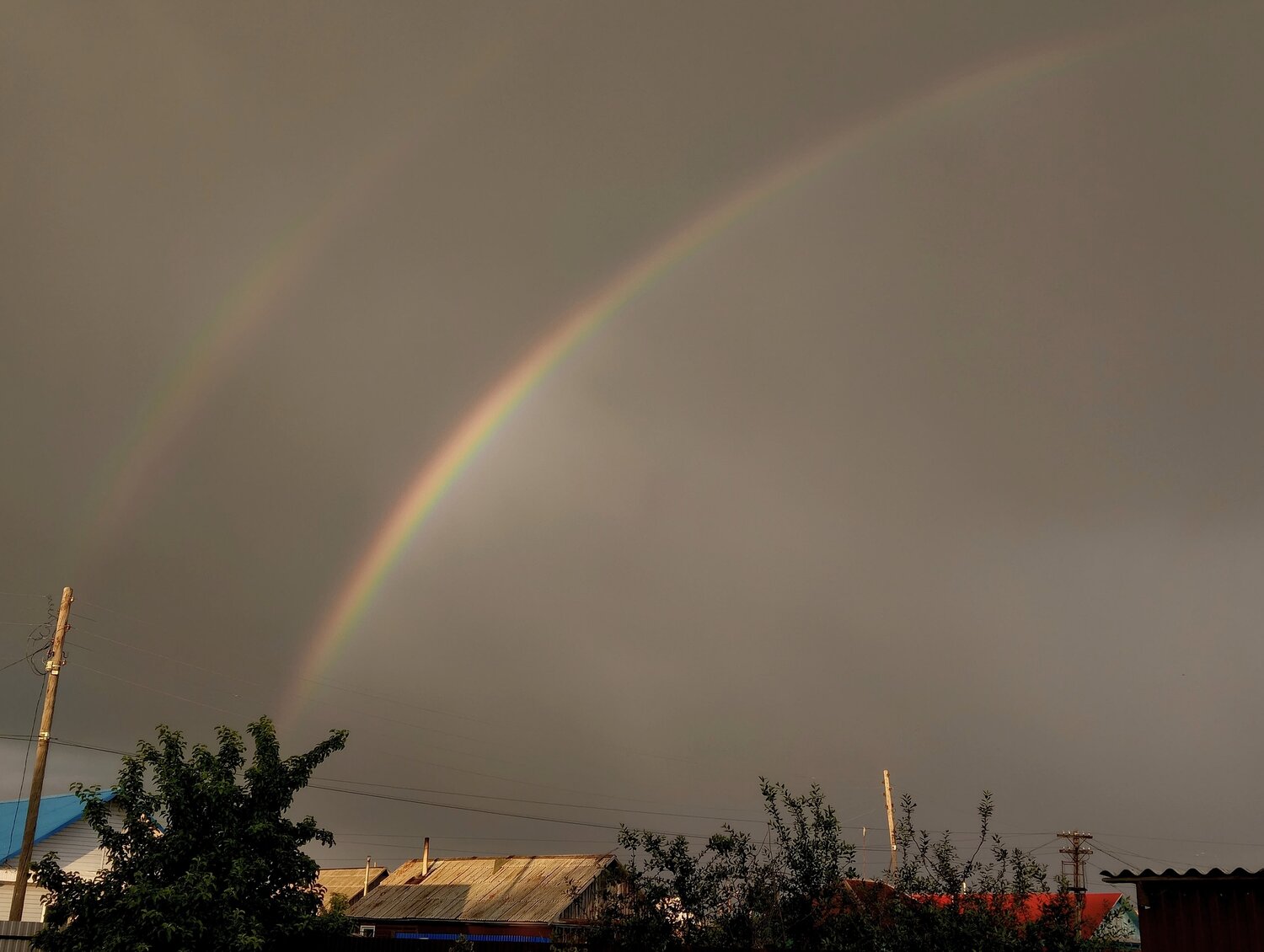 Photo #14072221