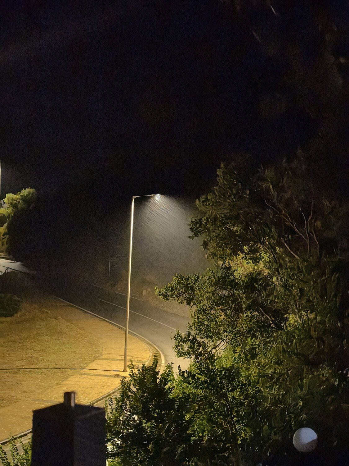 Photo #14072222