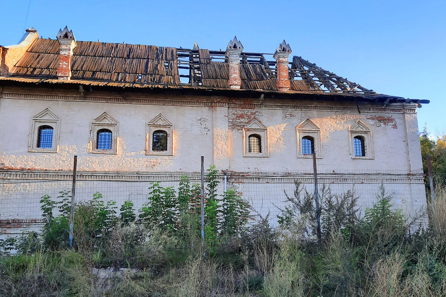 Photo #14072286