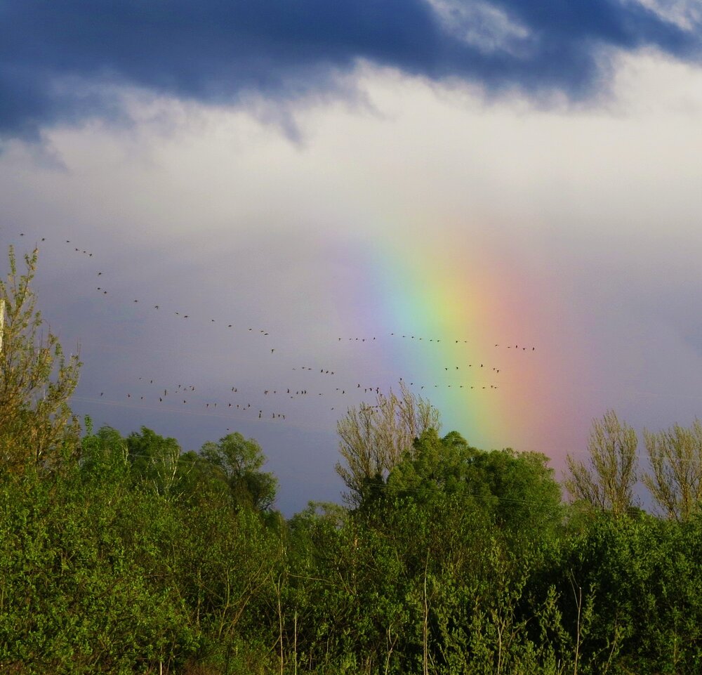 Photograph by Лариса Басова