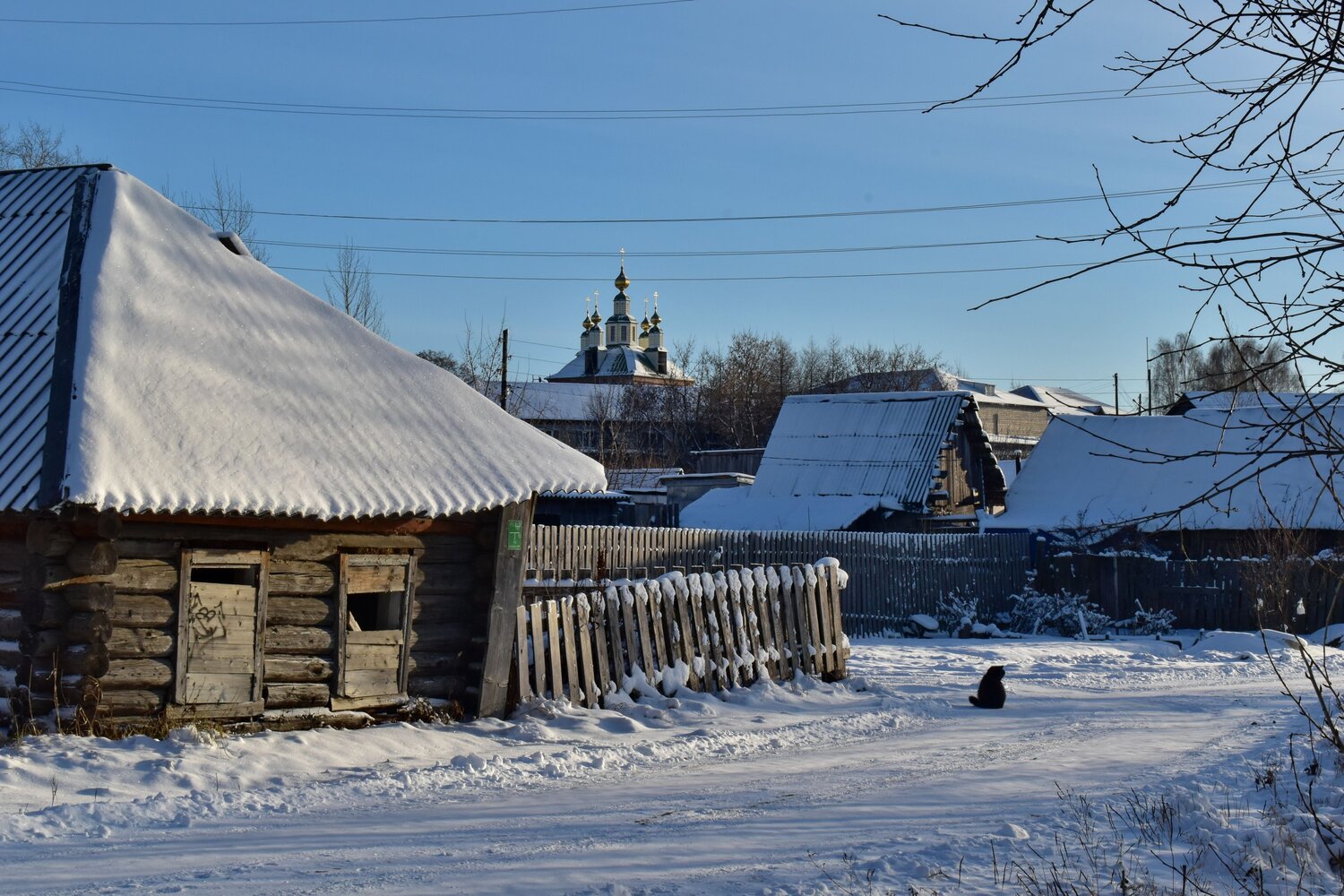 Photo #14072443