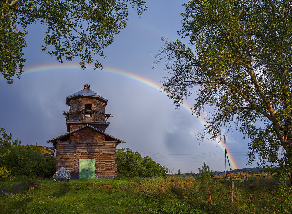 Photograph by Sokolova Tatiana