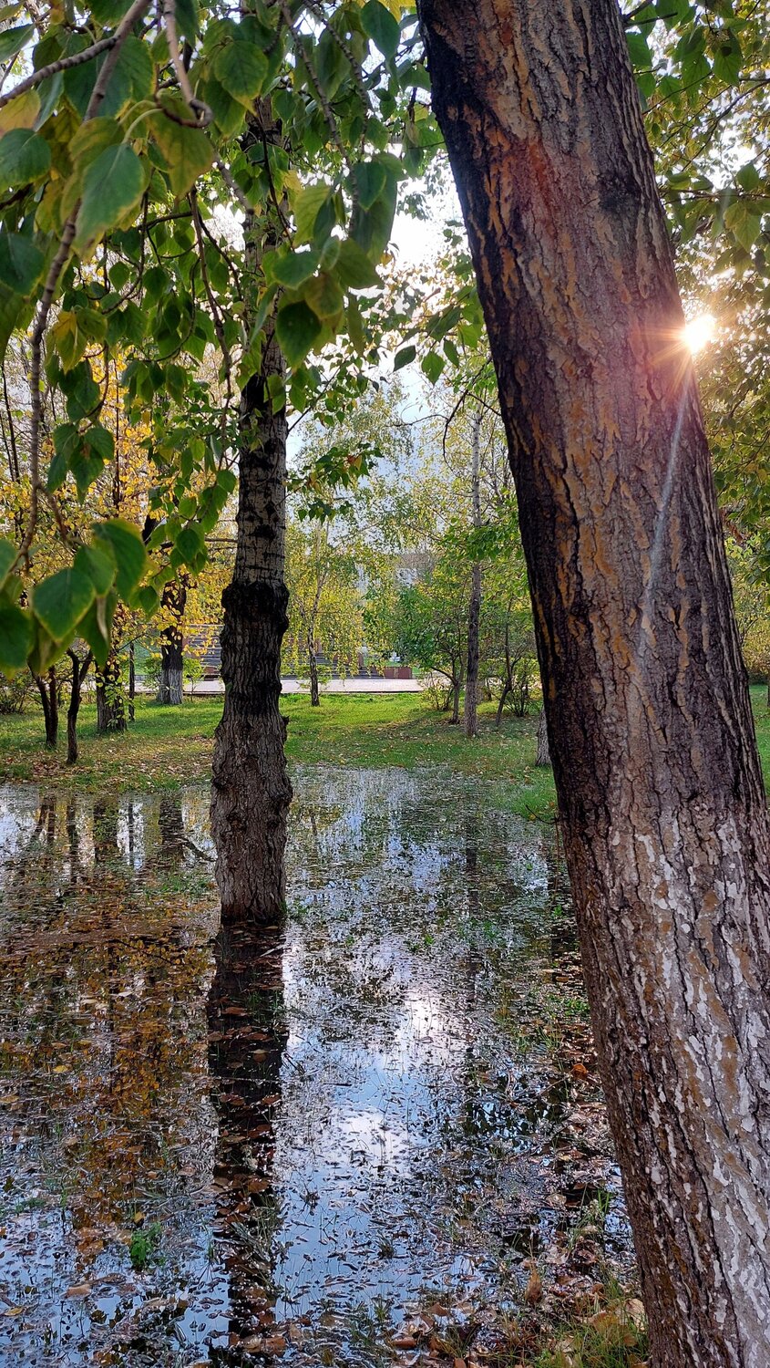 Photo #14072485