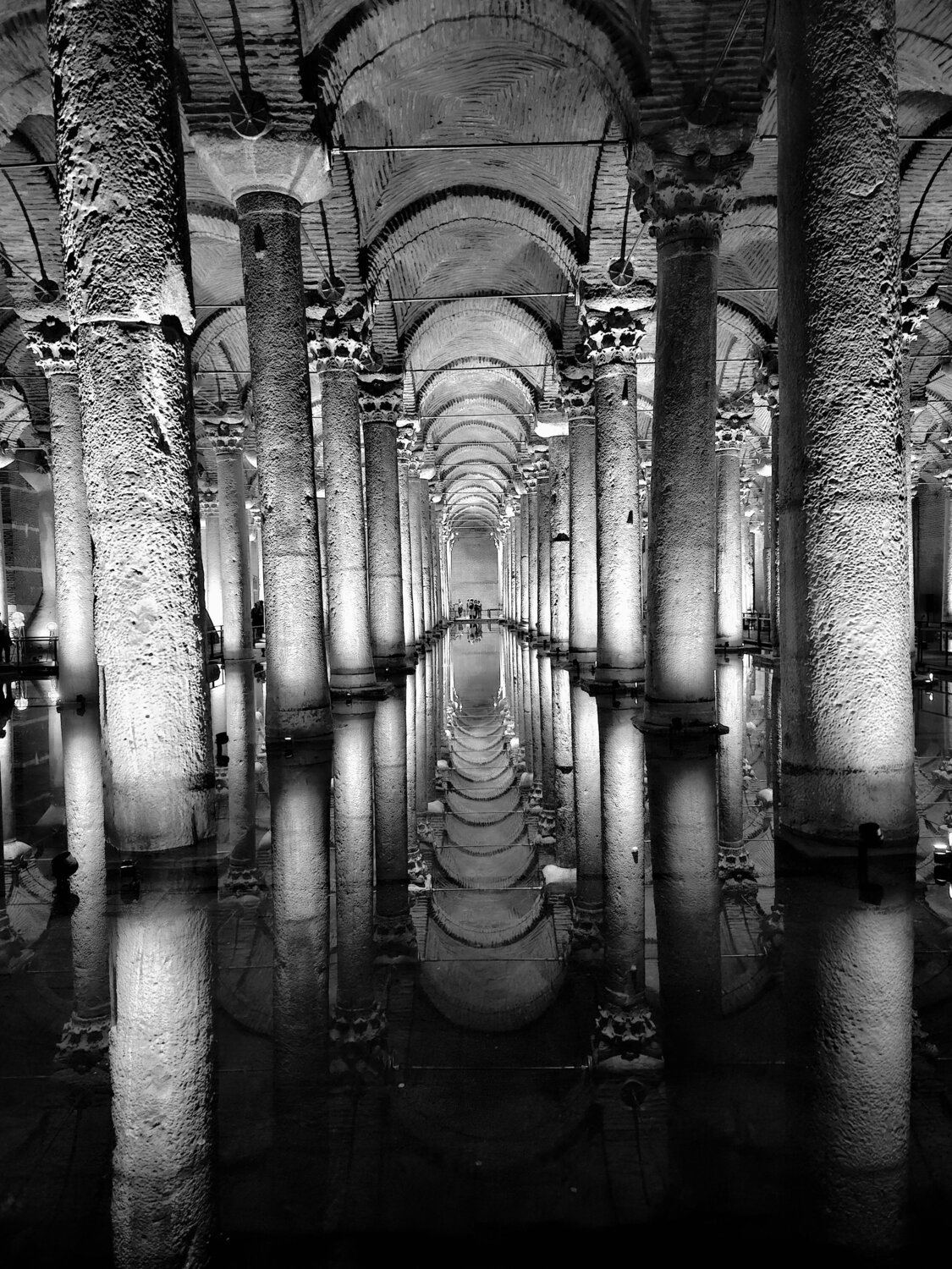 Photo #14072519