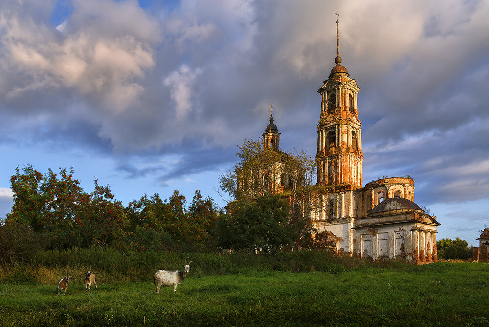 Photograph by Sokolova Tatiana