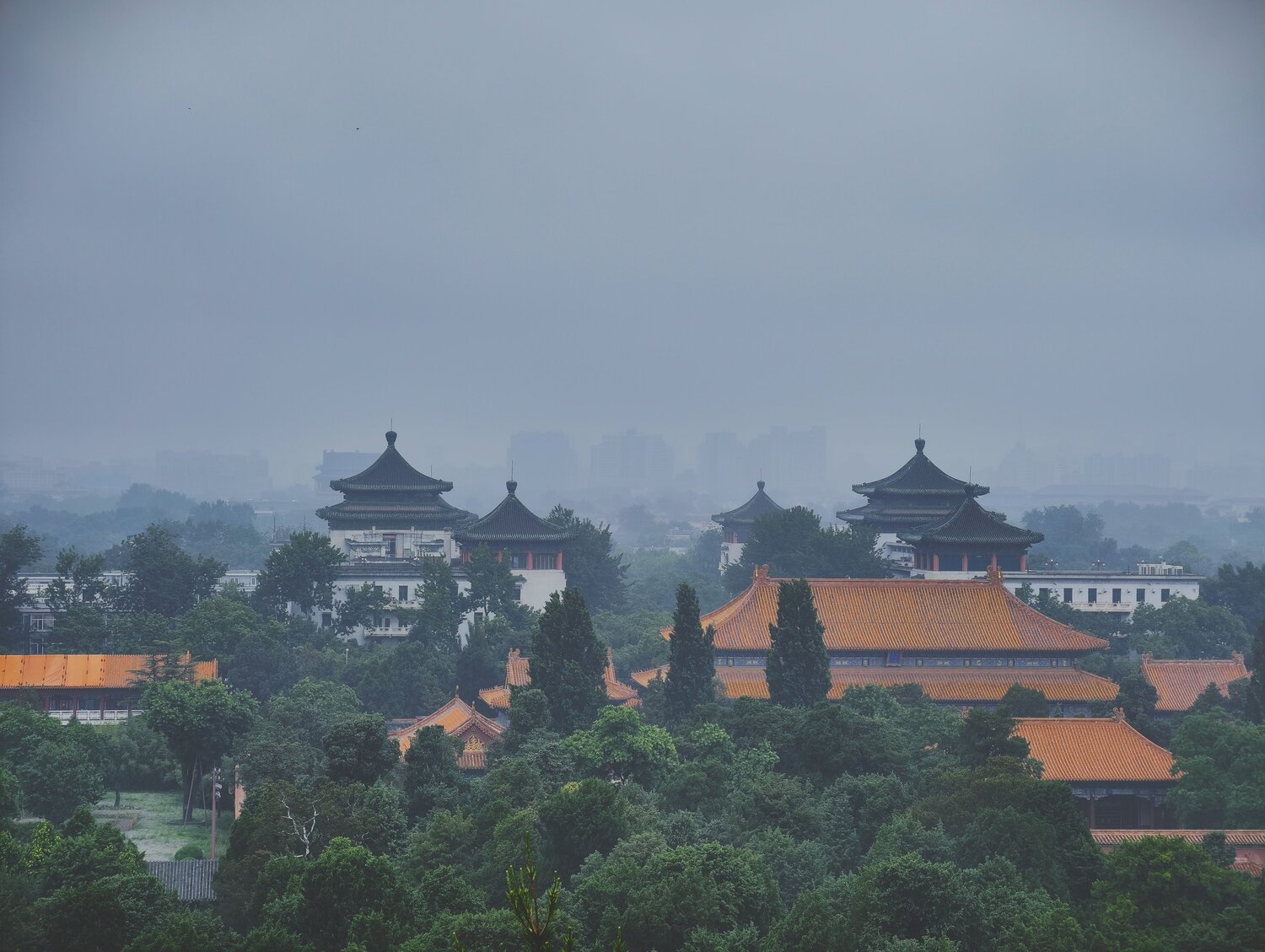 Photo #14072594