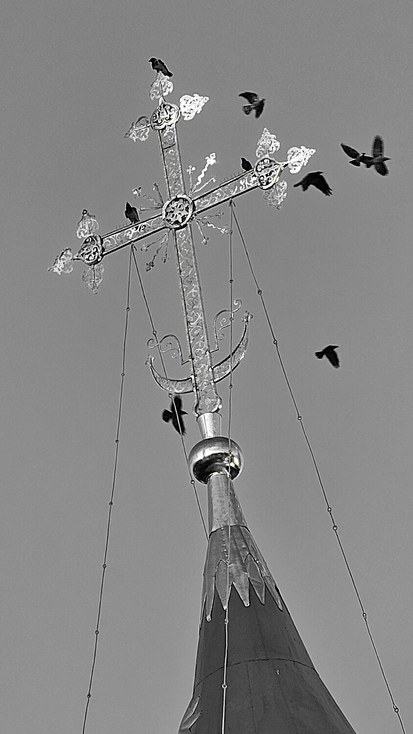 Photo #14072644