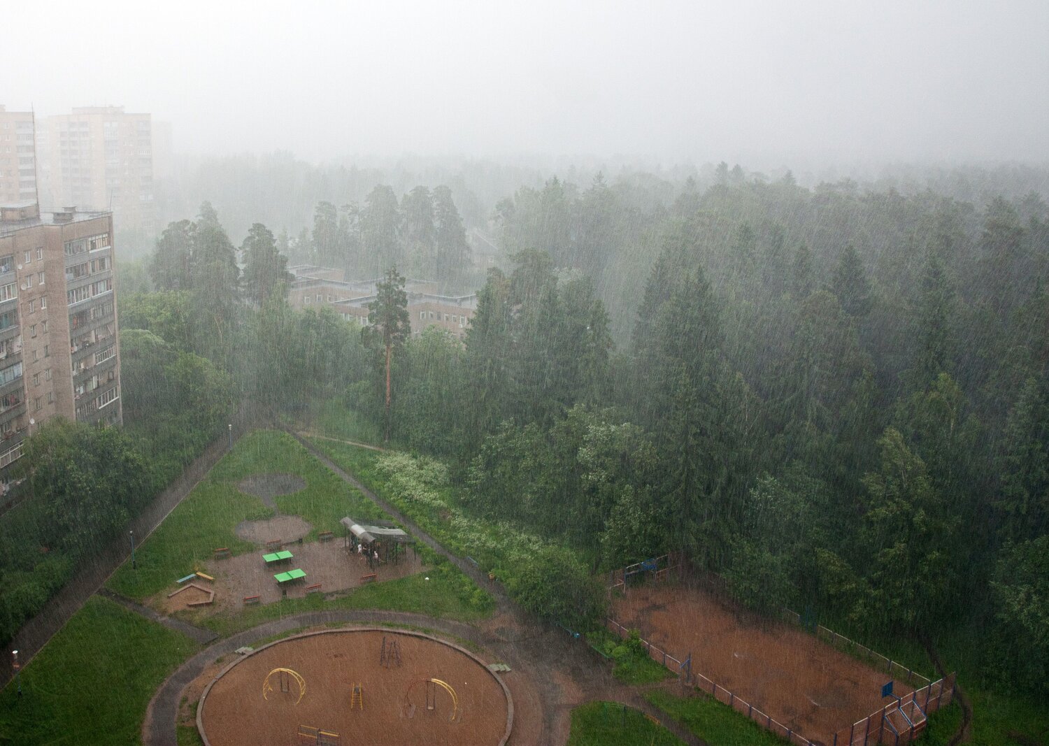 Photo #14072716