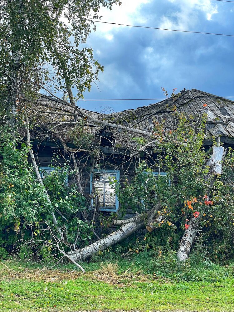 Photograph by Nadezhda