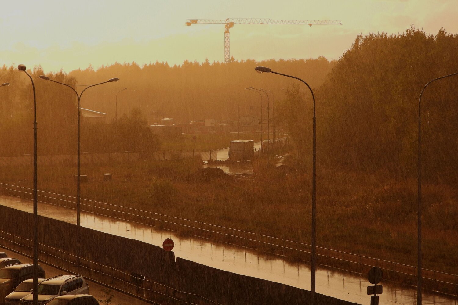 Photo #14072758